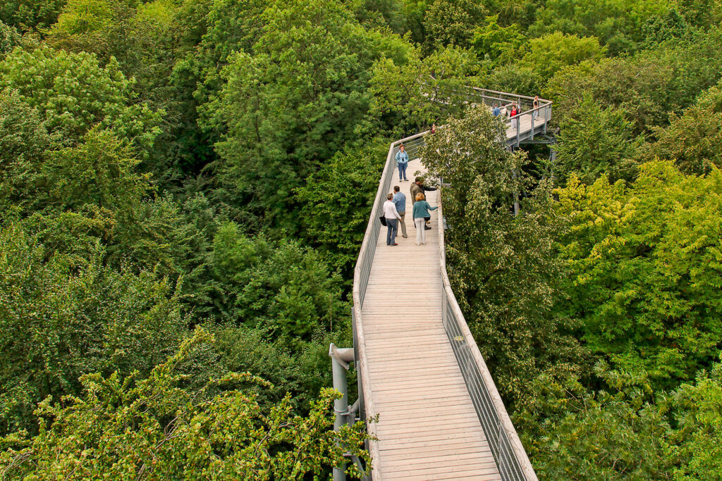 Baumkronenpfad
